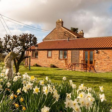 Morndyke Cottage Thirsk Zewnętrze zdjęcie